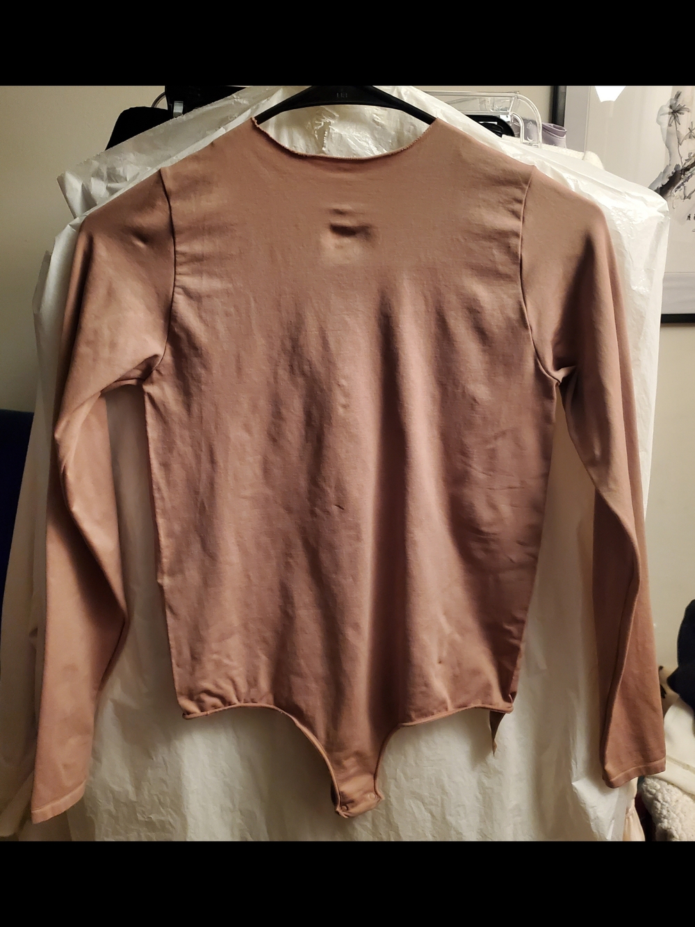 SKIMS Nude/Taupe Long Sleeve Bodysuit